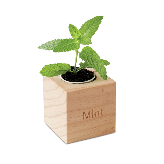 MENTA - Kräuterpflanz-Set
