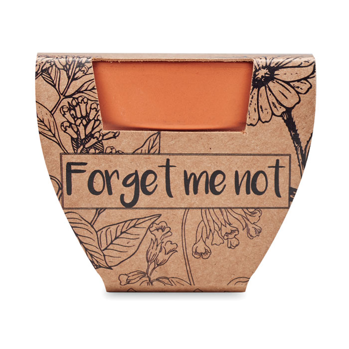 FORGET ME NOT - Terracotta-Topf Vergissmeinnicht