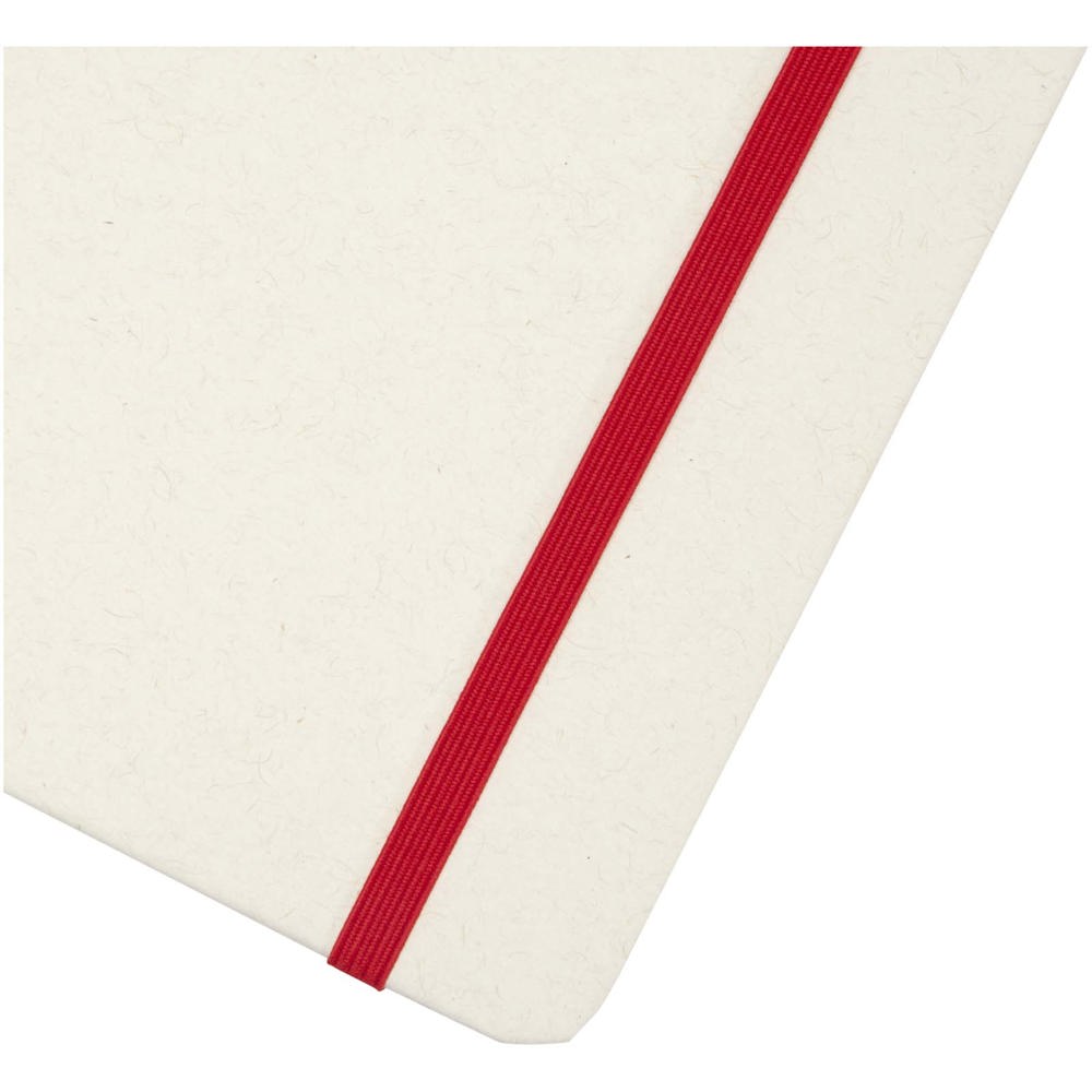 Bass A5 recyceltes Notizbuch, liniert