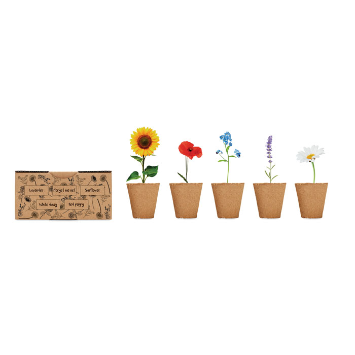 FLOWERS - Saat-Set Sommerblumen