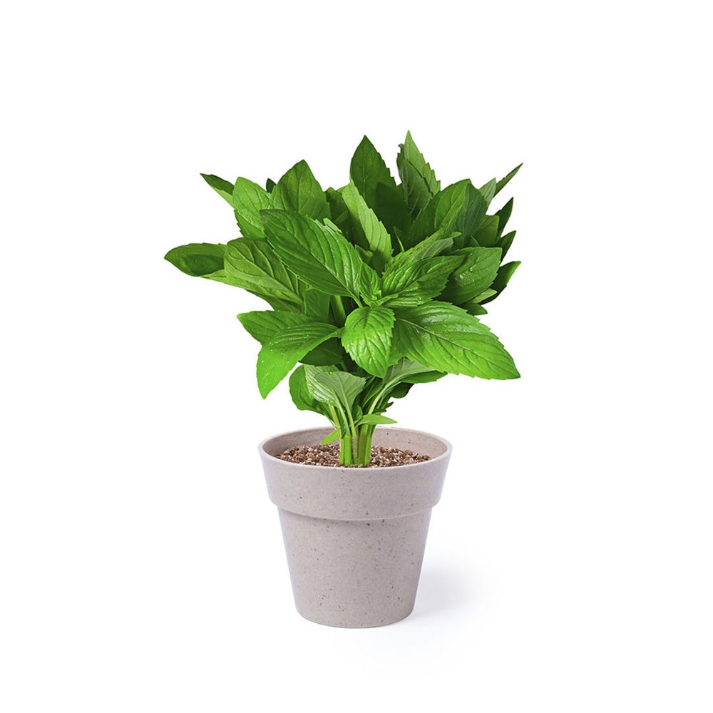 Blumentopf Set Nertel