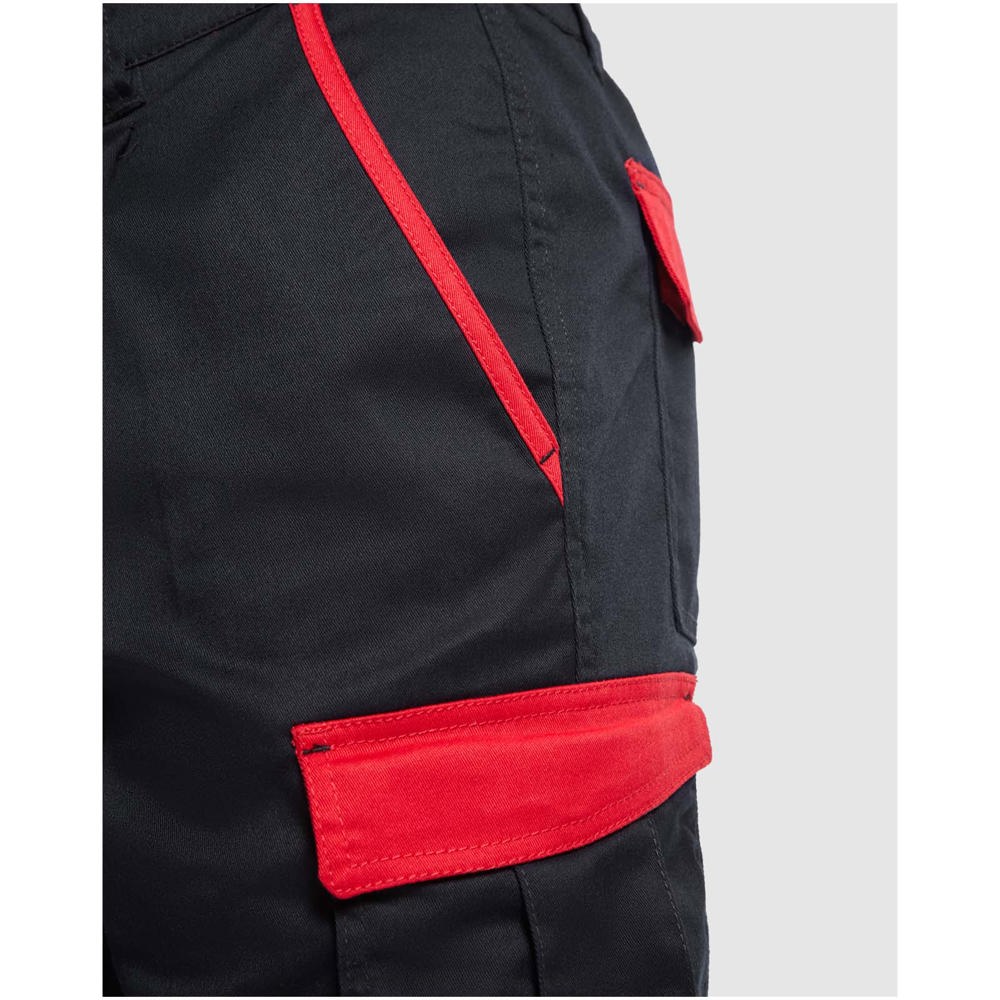 Tahoe Arbeitsshorts, 250 g/m2