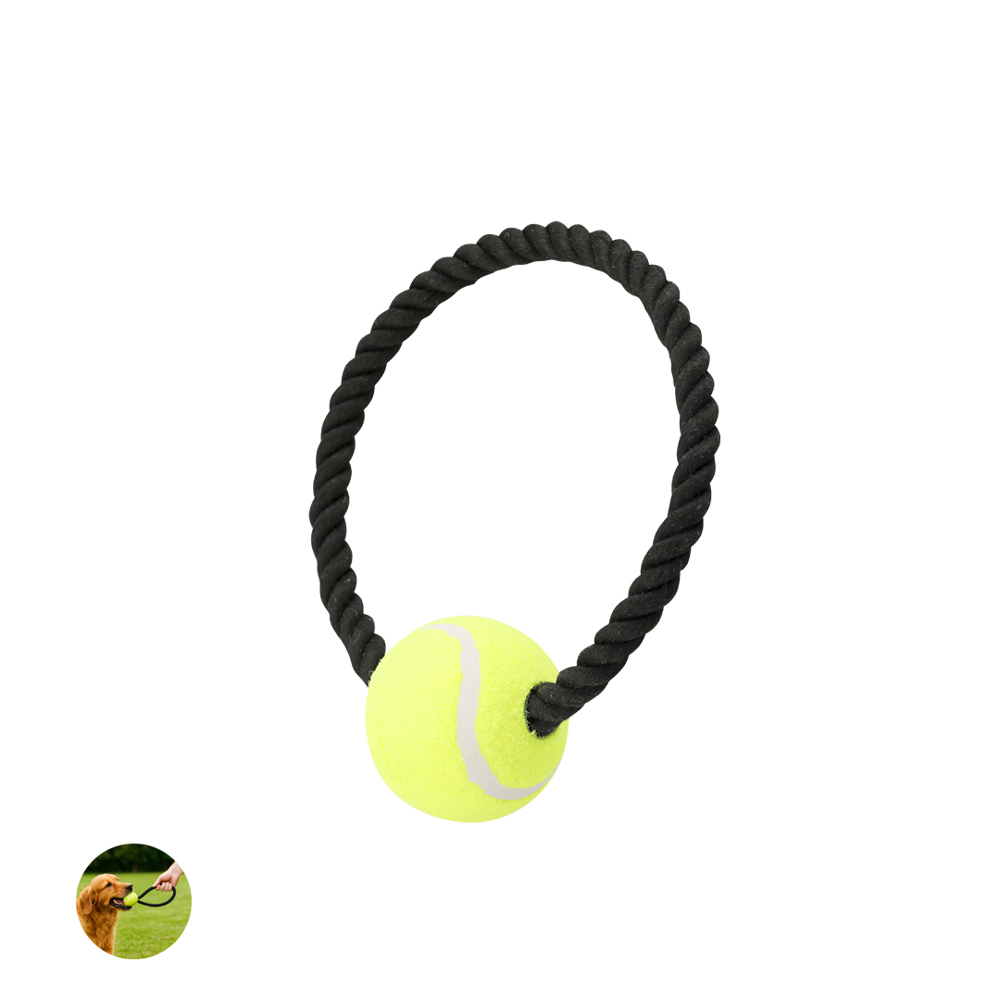 Kauknochen für Haustier Xekar